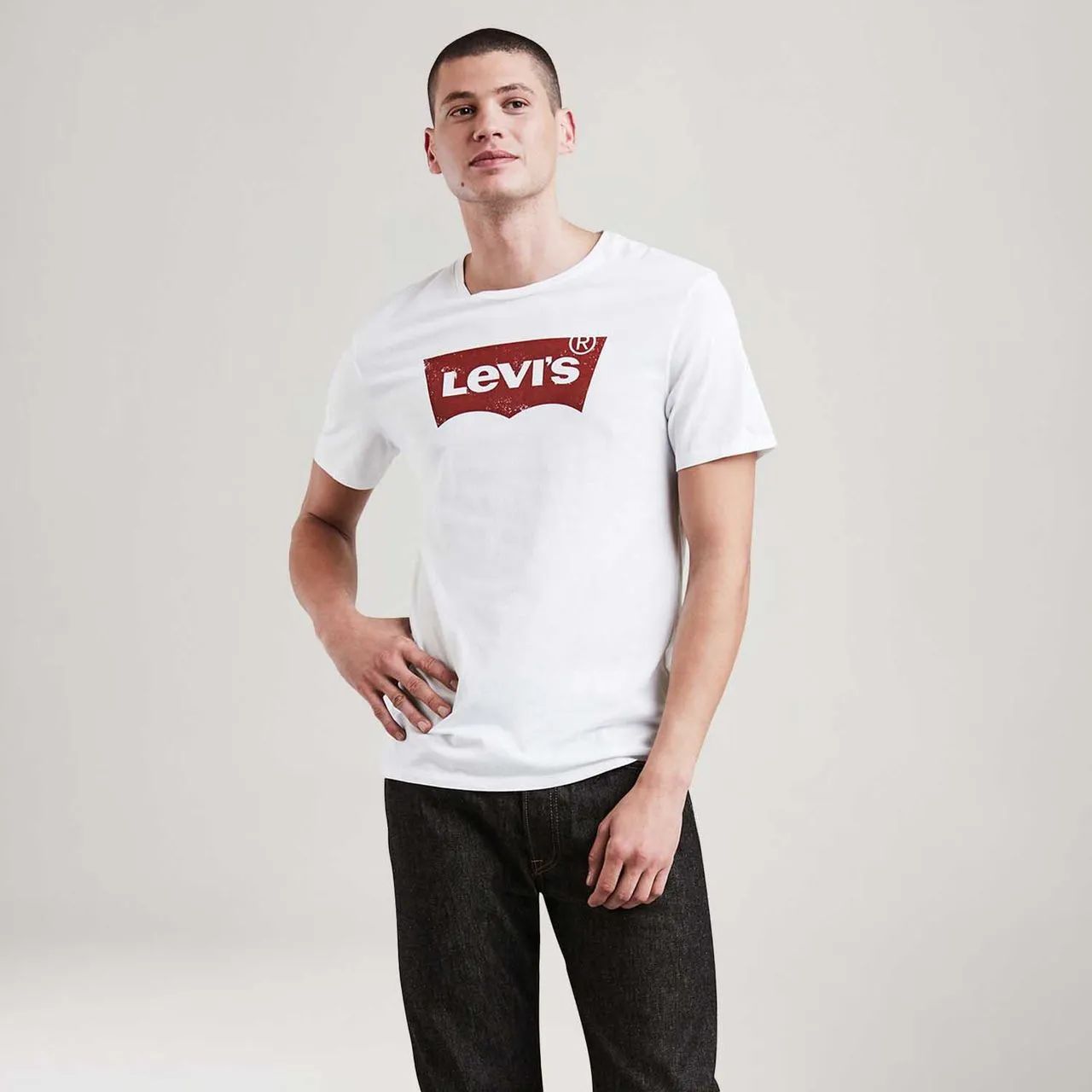 Camiseta Levis Graphic Set In Neck