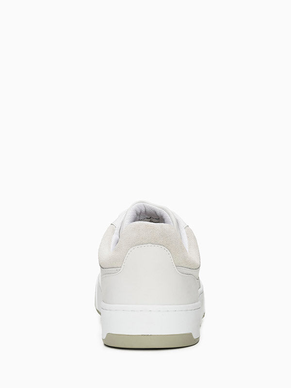 Tenis Palito Calvin Klein - Hellik Store